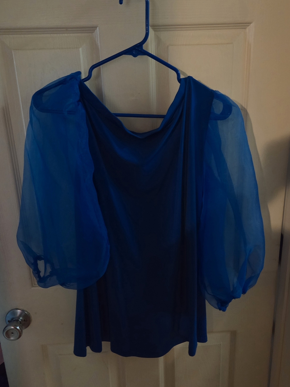 Sheer Puff Sleeve Blue Top